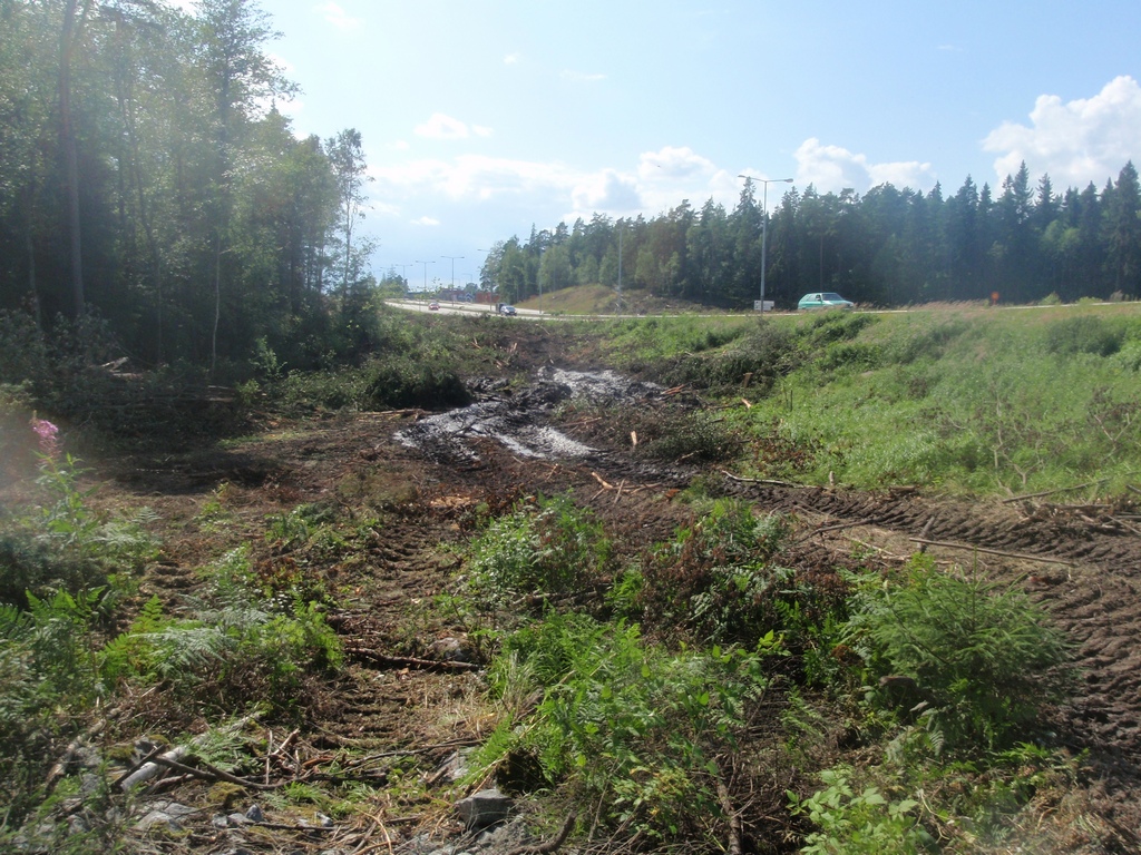 P7160124 borta.JPG